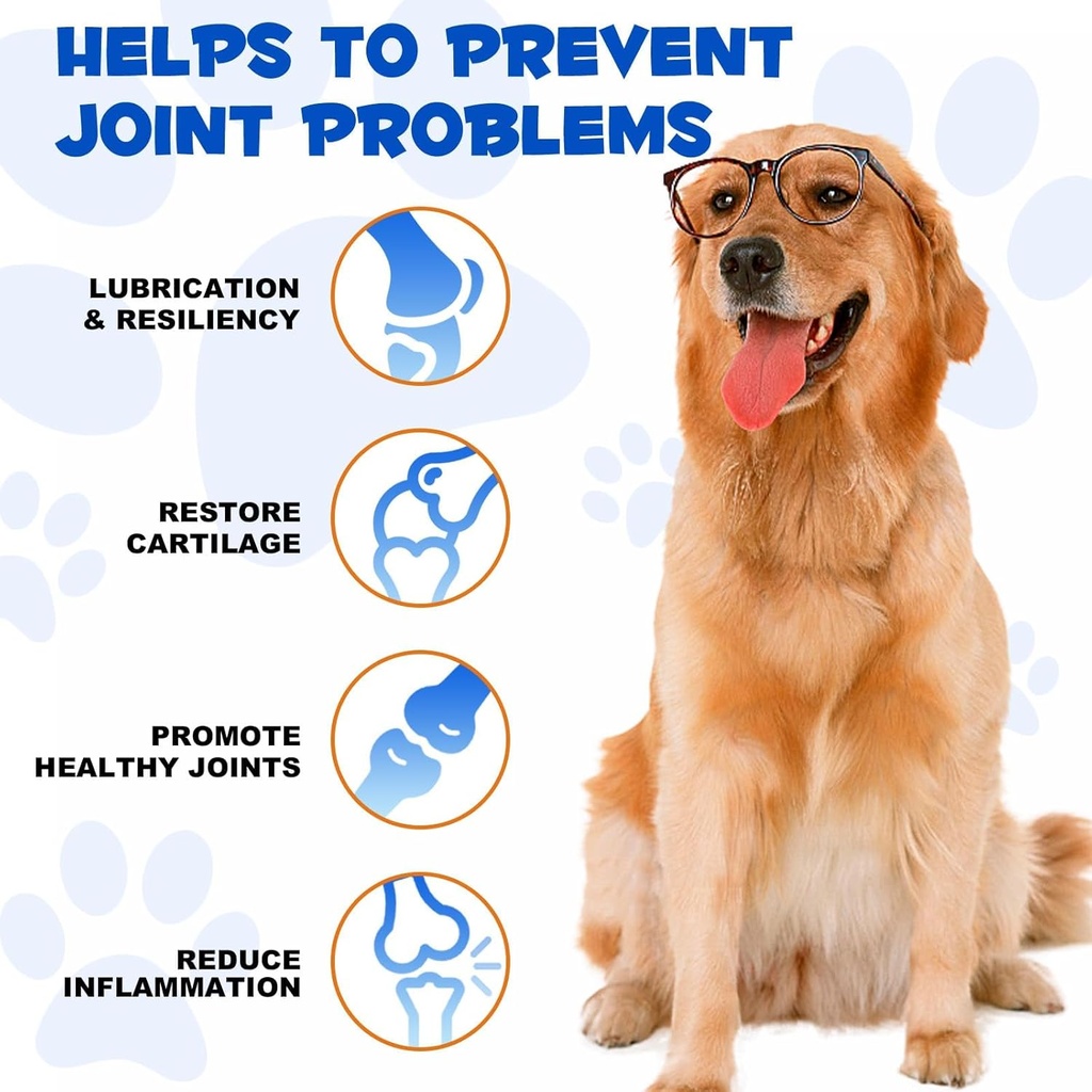 Dog Joint Aid & Relief Supplement with Chondroitin & Glucosamine HCl – Relieves Joint Pain & Reduces Inflammation for Senior Dogs, Active Adults & Puppies 6