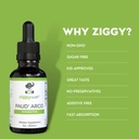 PAU D’arco Extract - Organic Liquid Tincture Drops - Alcohol-Free - for Immune Support & Gut Health, Herbal Supplement Drops, Vegan, 1oz by Ziggy Health 3