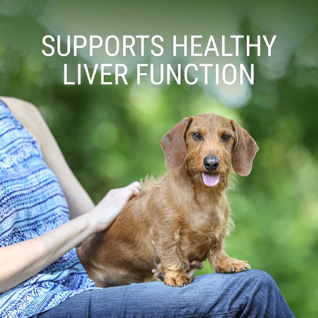 Nutramax Denosyl Liver and Brain Health Supplement for Medium Dogs - With S-Adenosylmethionine (SAMe), 30 Tablets 3