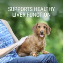 Nutramax Denosyl Liver and Brain Health Supplement for Medium Dogs - With S-Adenosylmethionine (SAMe), 30 Tablets 3