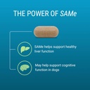 Nutramax Denosyl Liver and Brain Health Supplement for Medium Dogs - With S-Adenosylmethionine (SAMe), 30 Tablets 5