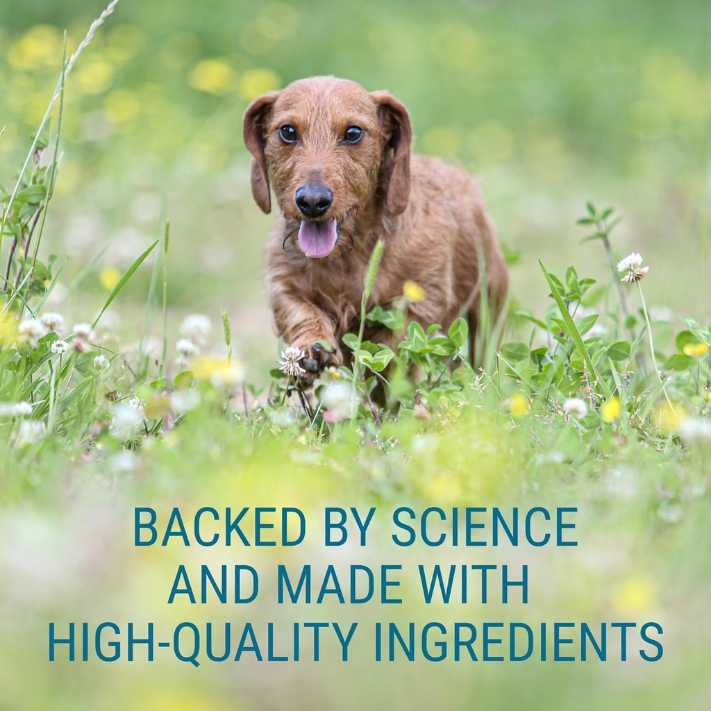 Nutramax Denosyl Liver and Brain Health Supplement for Medium Dogs - With S-Adenosylmethionine (SAMe), 30 Tablets 6