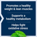 Life Extension 7-Keto DHEA Metabolite – Crank Up Your Fat-Burning Furnace – Non-GMO – Gluten-Free – 100 Mg – 60 Vegetarian Capsules 5