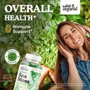 Wild & Organic Irish Sea Moss Gummies 1600 mg - Complex w/Bladderwrack and Burdock Root - Sea Moss Gel Chews for Overall Support - Chondrus Crispus - 90 Vegan, Non-GMO Seamoss Gel Gummies 3