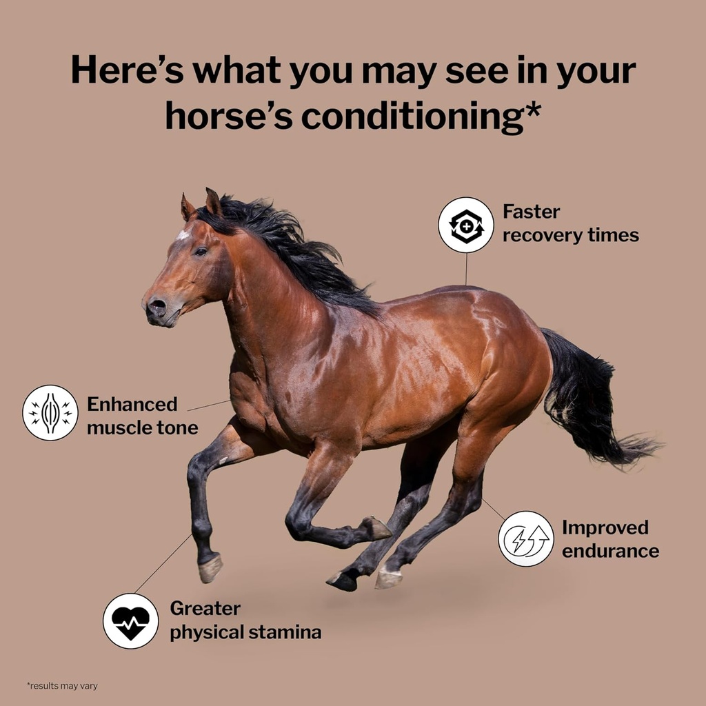 Formula 707 MuscleMx Equine Supplement, 3lb Bag – Conditioning Support and Muscle Builder for Horses with Lysine, Gamma Oryzanol, Creatine & OKG 4