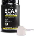 SASCHA FITNESS BCAA 4:1:1 + Glutamine,HMB,L-Carnitine, HICA | Powerful and Instant Powder Blend with Branched Chain Amino Acids (BCAAs) for Pre, Intra and Post-Workout|Natural Pineapple Flavor,362.5g 5