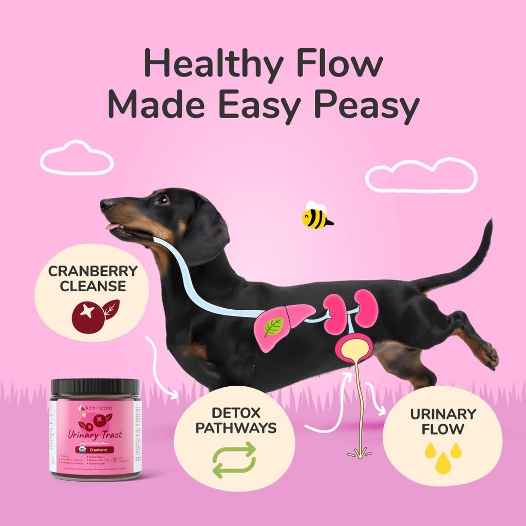 kin+kind Dog Supplement Powder - Supplement for Dogs & Cats for Healthy Immunity - Bladder Support - Natural Formula with Organic Cranberry, Blueberry and Coconut - Made in USA - 8 oz (Large) 3