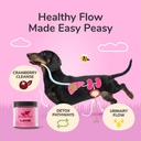 kin+kind Dog Supplement Powder - Supplement for Dogs & Cats for Healthy Immunity - Bladder Support - Natural Formula with Organic Cranberry, Blueberry and Coconut - Made in USA - 8 oz (Large) 3
