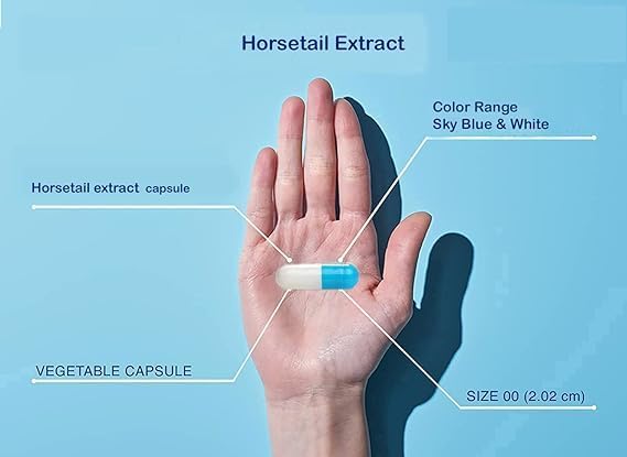 Met Herb Horsetail Extract-500mg Capsules 120 Count | Hair, Skin, & Nails Support | Promotes Urinary Tract Health | Strengthen Joints 5