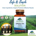 green-tea-capsules---90-kosher-vegan-cap-3.jpg