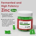 vegan-omega-3-gummies-sugar-free-zinc-gu-3.jpg