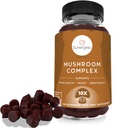sunergetic-premium-mushroom-gummies-supp-6.jpg