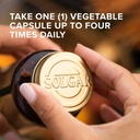 solgar-taurine-500-mg-vegetable-capsules-3.jpg