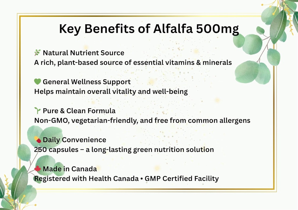 natural-alfalfa-supplement-500mg-250-cap-5.jpg