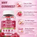 3500mg-liposomal-urolithin-a-gummies-12--4.jpg