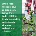 garden-of-life-multivitamin-family-formu-4.jpg