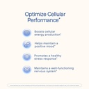 prohealth-longevity-b-complex-60-capsule-3.jpg