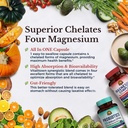 vitalitown-magnesium-probiotic-bundle-pa-4.jpg