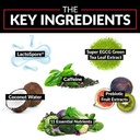 probioslim-weight-loss-essentials-comple-4.jpg