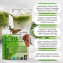 powdervitamin-organic-mushroom-matcha-po-4.jpg