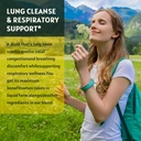 2-pack-mullein-drops-for-lungs---lungs-c-5.jpg