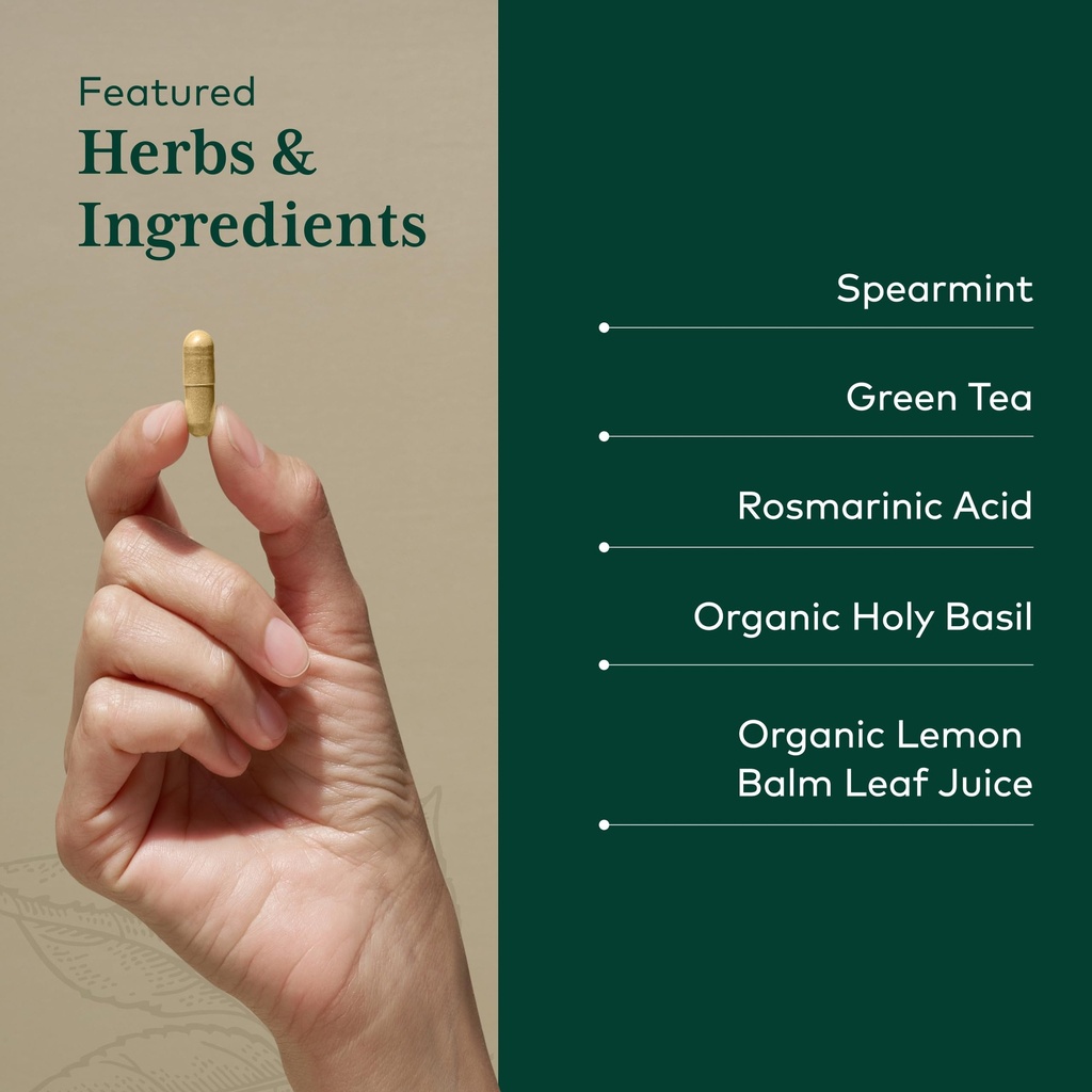 gaia-herbs-pro-somni-mint-rosmarinic-com-4.jpg