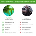 barley-grass-juice-powder-and-atlantic-d-5.jpg