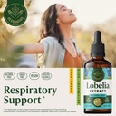 herbamama-lobelia-tincture-vegan-lobelia-2.jpg