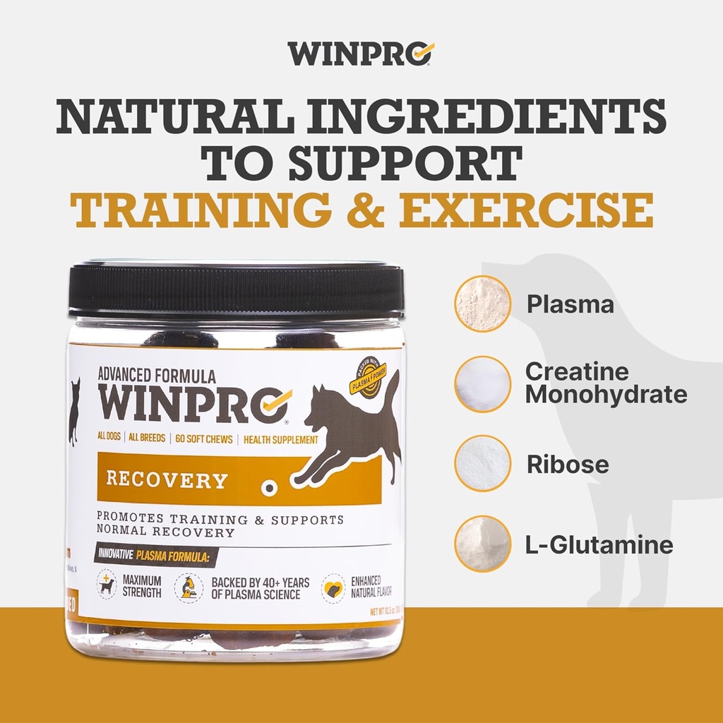 winpro-recovery-chews-for-dogs-plasma-po-3.jpg
