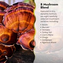 irwin-naturals-pure-defense-mushroom-8-i-4.jpg