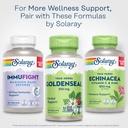 solaray-goldenseal-root-550mg---golden-s-6.jpg