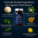 xenivra-synaptix-natural-nootropic-brain-5.jpg