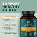 ancient-nutrition-ashwagandha-tablets-st-3.jpg
