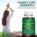 11-in-one-mushroom-complex-gummies-10x-m-6.jpg
