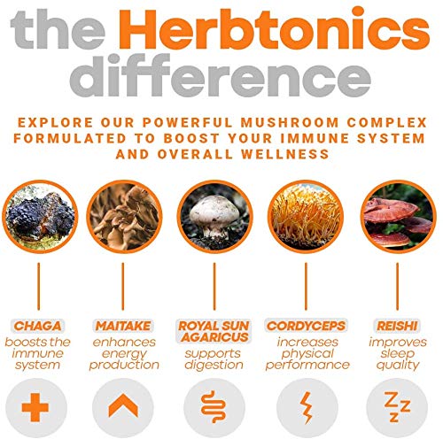 herbtonics-all-in-one-mushroom-supplemen-5.jpg