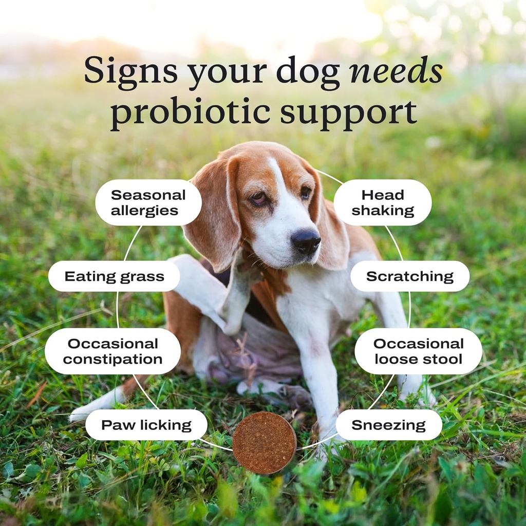 petlab-co-probiotics-for-dogs-support-gu-5.jpg