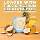 gnarly-nutrition-hydrate-electrolyte-pow-3.jpg