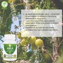 amla-capsules-500mg-organic-indian-goose-4.jpg