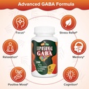 liposomal-gaba-with-l-theanine-supplemen-4.jpg