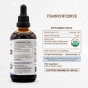 secrets-of-the-tribe-frankincense-tinctu-4.jpg