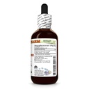 frankincense-boswellia-serrata-dry-resin-2.jpg