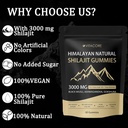 vitacore-himalayan-shilajit-gummies-for--6.jpg