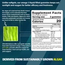 vegan-omega-3-gummies-1000mg-sugar-free--2.jpg