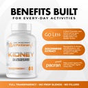 core-nutritionals-lifeline-kidney-supple-3.jpg