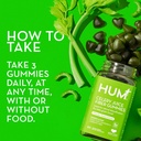 hum-green-detox-bundle-with-flatter-me-d-4.jpg