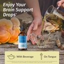 herbamama-lion-s-mane-brain-support-comp-2.jpg
