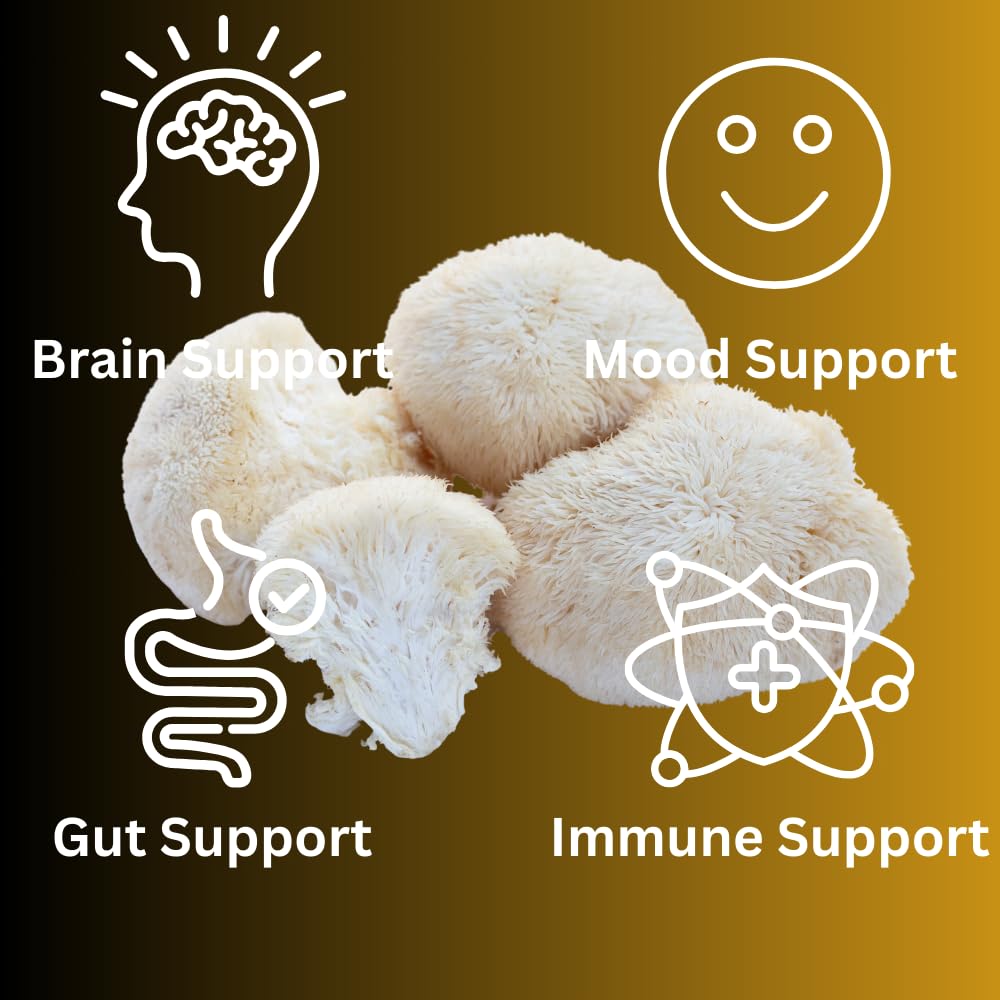 lion-s-mane-sugar-free-vegan-gummies-hig-4.jpg