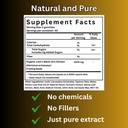 lion-s-mane-sugar-free-vegan-gummies-hig-6.jpg