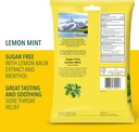 ricola-sugar-free-lemon-mint-throat-drop-2.jpg