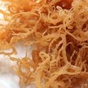 halaleveryday-wildcrafted-irish-sea-moss-2.jpg